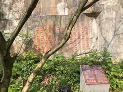 -铁山坪森林公园