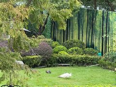 -J Create城市露营咖啡·简餐·宠物(上海动物园店)