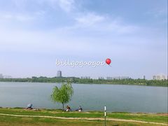 -灞河西岸滨河公园