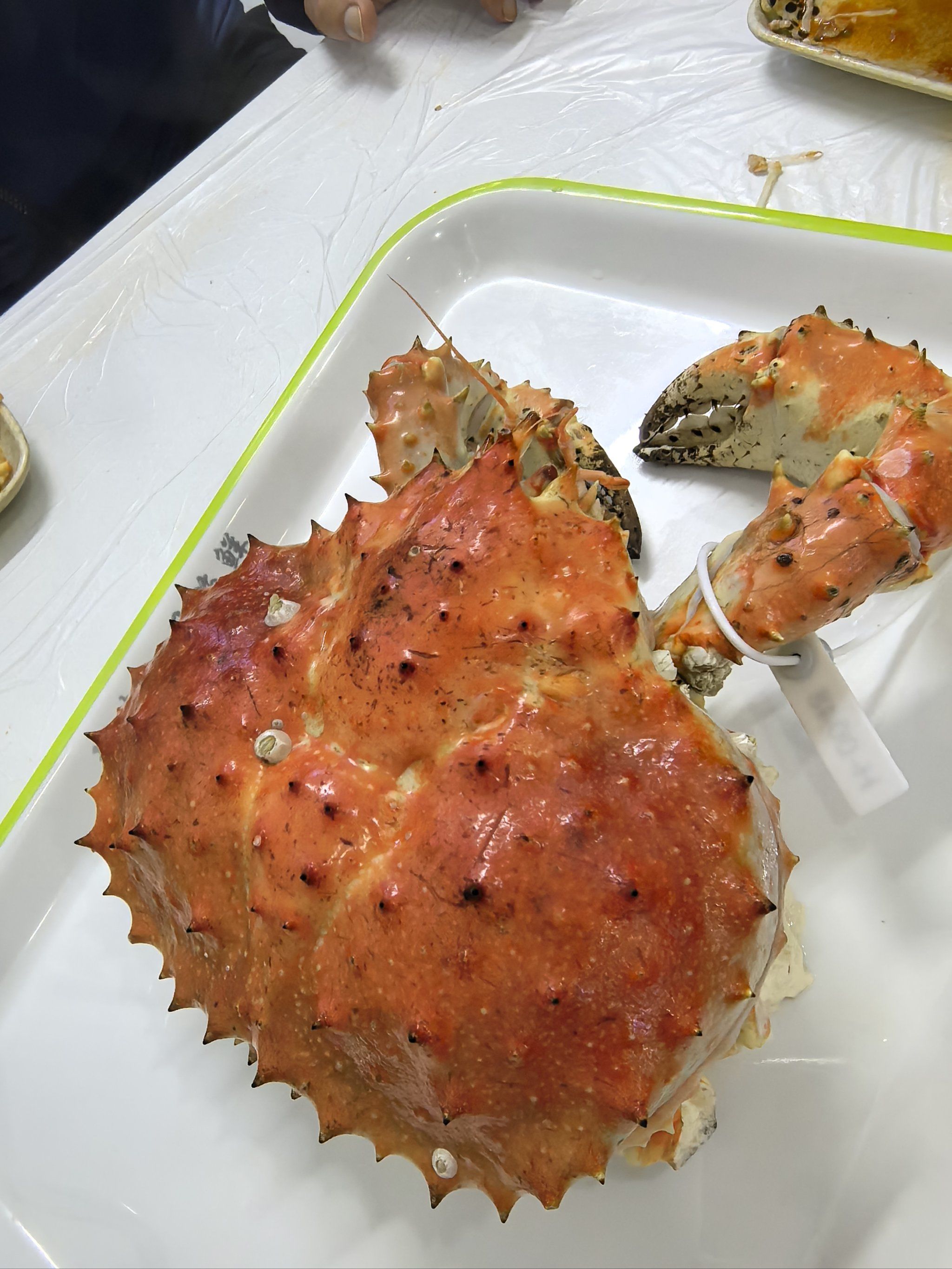 兴城的活帝王蟹