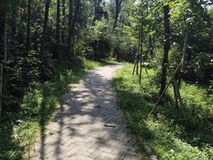 -青龙山国家森林公园