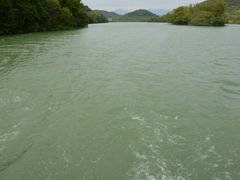 -广州市流溪河国家森林公园