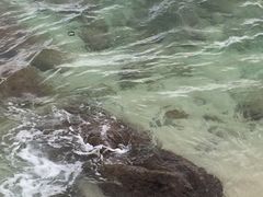 -三亚蜈支洲岛旅游区