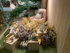 -藦茜花园宠物主题亲子互动体验馆(国顺东路店)
