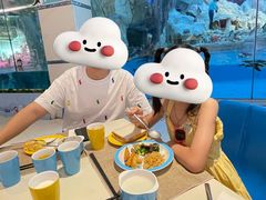 -帝企鹅自助餐厅•儿童岛•真企鹅(长隆企鹅酒店)