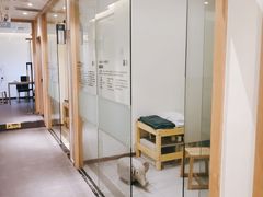 -庆德堂中医馆·小儿推拿(江北店)
