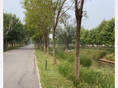 -东郊湿地公园