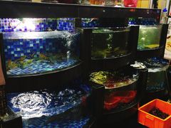 -渝君重庆火锅(嘉宾路店)