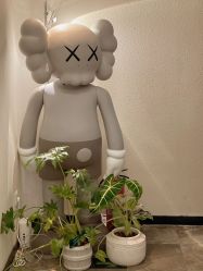 -玛莲朵·海菲秀冰珀科