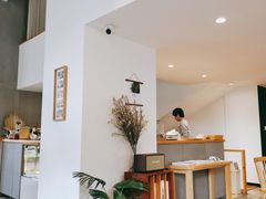 -猫里有甜
