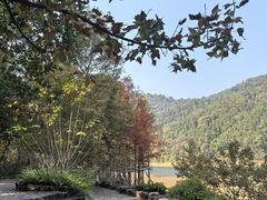-广州市石门国家森林公园