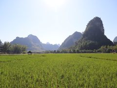 -靖西鹅泉风景区