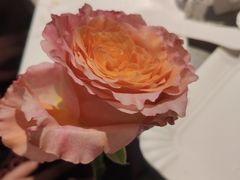 -面包新语(上地华联店)