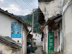 -石台牯牛降景区