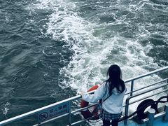 -澳门环岛游湾仔码头