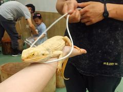 -藦茜花园宠物主题亲子互动体验馆(国顺东路店)