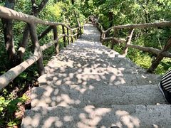 -天女山森林公园