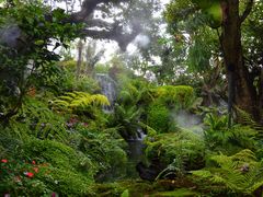 -Chom Cafe and Restaurant