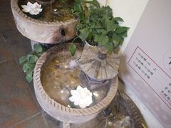 -茶花妹子云南餐厅(传媒大学店)