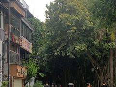 -南宁南湖公园