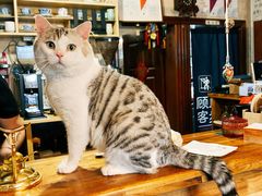 -云端咖啡私房店(河松街店)