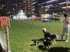 -上海嘉定喜来登酒店
