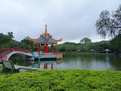 -金砂公园
