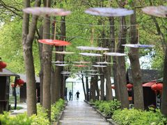 -溱湖国家湿地公园