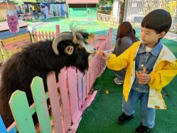 -萌宠亲子动物乐园(槐房万达店)