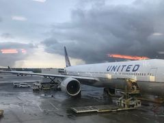 -纽瓦克自由国际机场