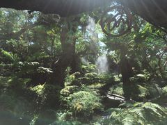 -Chom Cafe and Restaurant