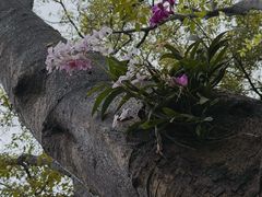 -柳侯公园