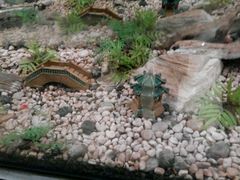 -上海昆虫博物馆