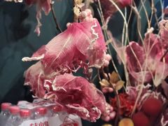 -Space君欧高空江景酒店(重庆解放碑云端之眼店)