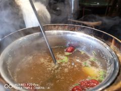 -二乔鱼庄