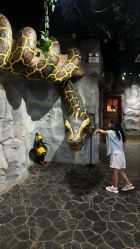 -Zoolung Zoolung动物主题公园(海信广场店)