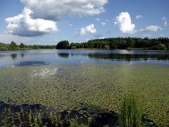 -塞罕坝国家级自然保护区