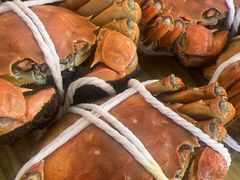 -蟹天蟹地农家菜·阳澄湖大闸蟹(浅水湾店)