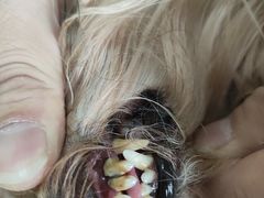 -康乐宝动物医院