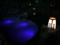 -杭州第一世界大酒店·云曼温泉