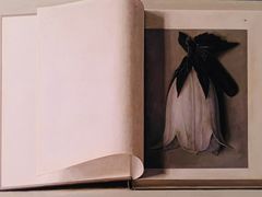-Nathalie Djurberg与Hans Berg“牛皮纸包裹的月亮”-Prada荣宅当季展览