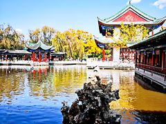 -MAP CHA普洱茶馆(翠湖店)