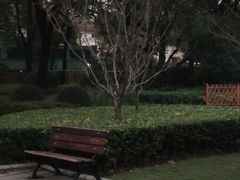 -徐家汇源景区-衡山公园