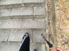-火炉山森林公园