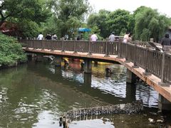 -无锡动物园·太湖欢乐园