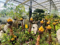 -南通洲际绿博园