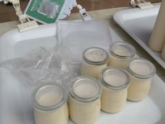 -广州素食学校·素猫豆腐(长洲码头店)