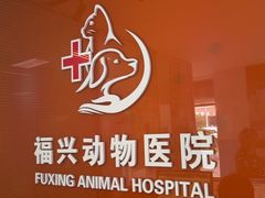 -瑞派福兴宠物医院犬猫全科·骨科·中西医结合(河东店)