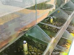-四海鲜渔家菜(黄金海岸店)