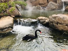 -罗红摄影艺术馆